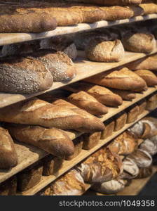 Freshly baked bread on bakery shelves. Bread diversity in bright light. Breads with a golden crust on wooden shelves. Loaves of bread assortment.