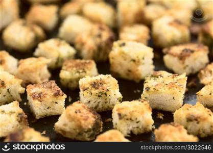 Freshly baked crunchy croutons seasoned with herbs on baking tray (Selective Focus, Focus one third into the image). Freshly Baked Croutons
