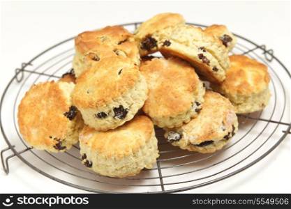 "Freshly-baked fruit scones - similar to American "biscuits" - cooling on a wire rack. Scones are a traditional British tea-cake and can be plain or made with dried fruit or cheese."