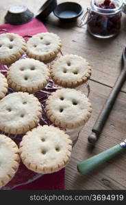 Freshly Baked Mince Pies, Made With Cranberries