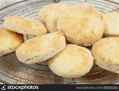 Freshly baked scones, or biscuits, cooling on a wire rack
