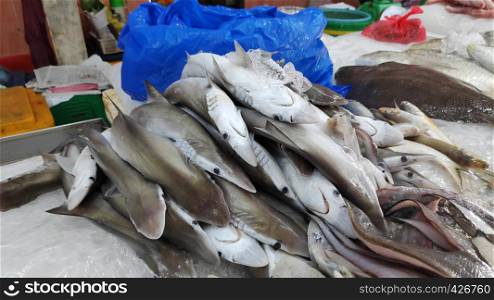 Freshly catched dwarf shark sold in local market