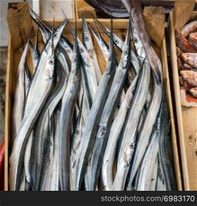 Freshly caught needlefishes, zargana in a box for sale at the greek fish market in Istanbul.