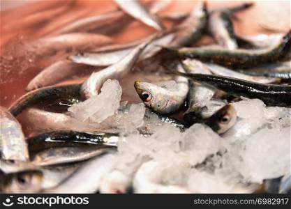 Freshly Caught Sardines With Red Colored Ice From Blood In The Fish Market