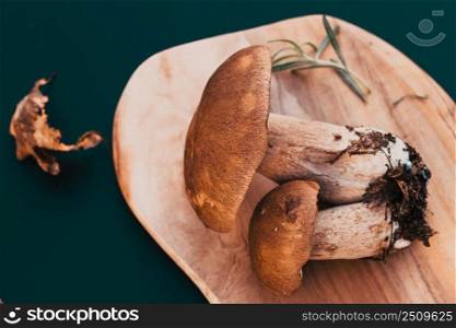 freshly collected boletus edulis over Wooden Background. Autumn Cep Mushrooms. Cooking delicious organic mushroom. Gourmet food