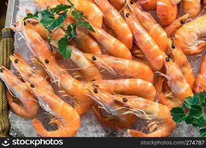 Freshly cooked prawns - shrimp on ice