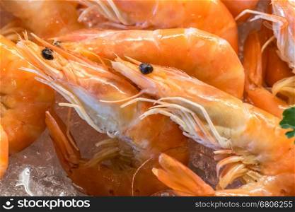 Freshly cooked prawns - shrimp on ice
