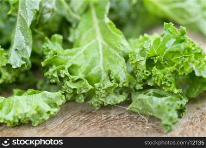 Freshly cut kale salad leaves