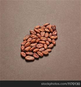 Freshly dried natural cocoa peas in the shape of big bean on a brown background with soft shadows, copy space.. Cocoa seeds in the shape of big cocoa bean.