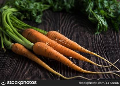 Freshly grown carrots. Freshly grown carrots on wooden table