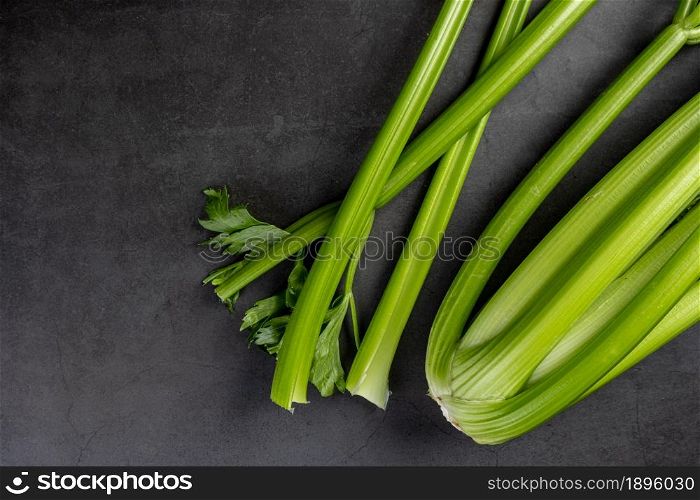 Freshly harvested celery stalk on dark stone background