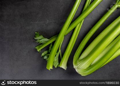 Freshly harvested celery stalk on dark stone background
