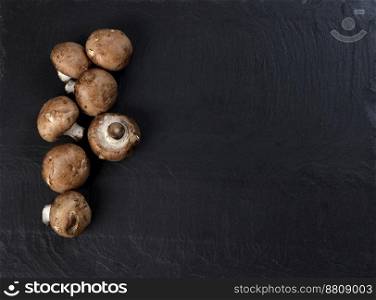 Freshly harvested champignon mushrooms on dark stone background