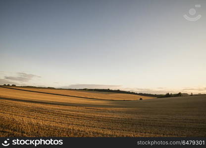 Freshly harvested fields of barley in countryside landscape bath. Freshly harvested fields of barley in countryside landscape in late Summer sunset light