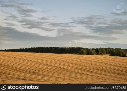 Freshly harvested fields of barley in countryside landscape in late Summer sunset light