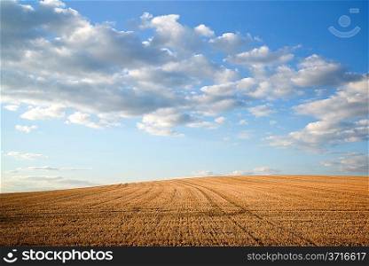 Freshly harvested hay field in countryside Summer landscape