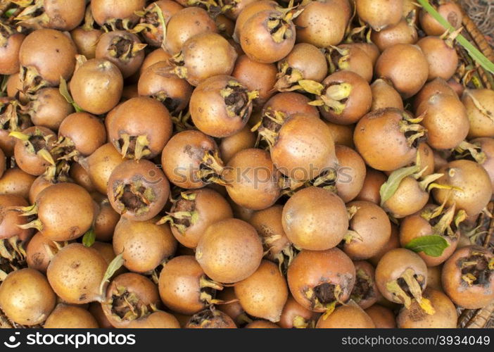 Freshly harvested medlars in autumn garden closeup