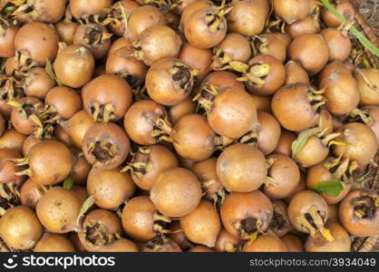 Freshly harvested medlars in autumn garden closeup