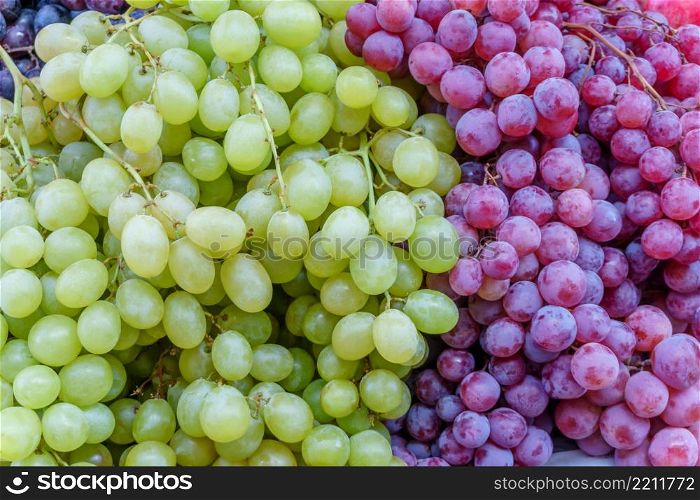 Freshly harvested white and red grapes close-up. Freshly harvested grapes close-up