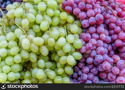 Freshly harvested white and red grapes close-up. Freshly harvested grapes close-up