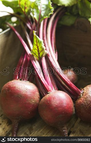 Freshly picked beetroot in wooden box