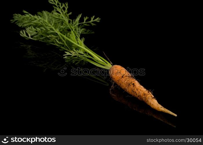 freshly picked carrot isolated on black background with reflection