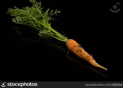 freshly picked carrot isolated on black background with reflection