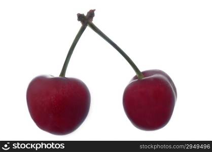 freshly picked cherries on the isolated background