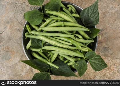 Freshly picked green beans in stainless steel bowl on natural stone background