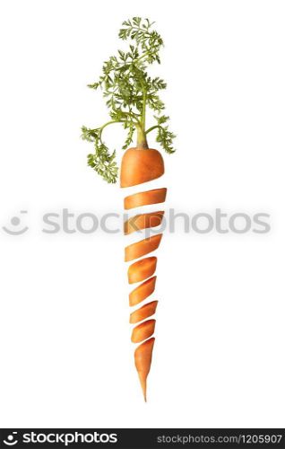 Freshly picked natural organic juicy fruit vertical carrot with green leaf cut on a white background with copy space. Vegan concept.. Cut fresh juice natural carrot root with green leaf.