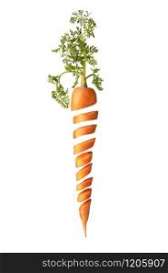 Freshly picked natural organic juicy fruit vertical carrot with green leaf cut on a white background with copy space. Vegan concept.. Cut fresh juice natural carrot root with green leaf.