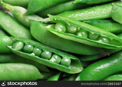 Freshly picked sweet green peas. peas in open pods