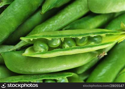 Freshly picked sweet green peas. peas in open pods