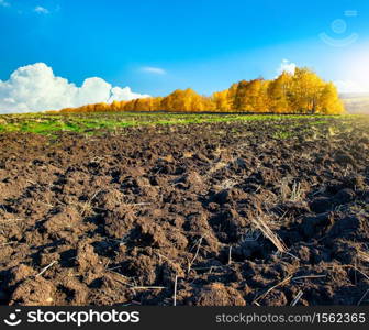 Freshly plowed farm field on a blue sky background