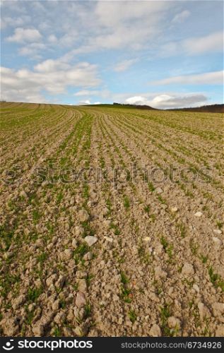 Freshly Plowed Field in Spring Ready for Cultivation