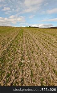 Freshly Plowed Field in Spring Ready for Cultivation