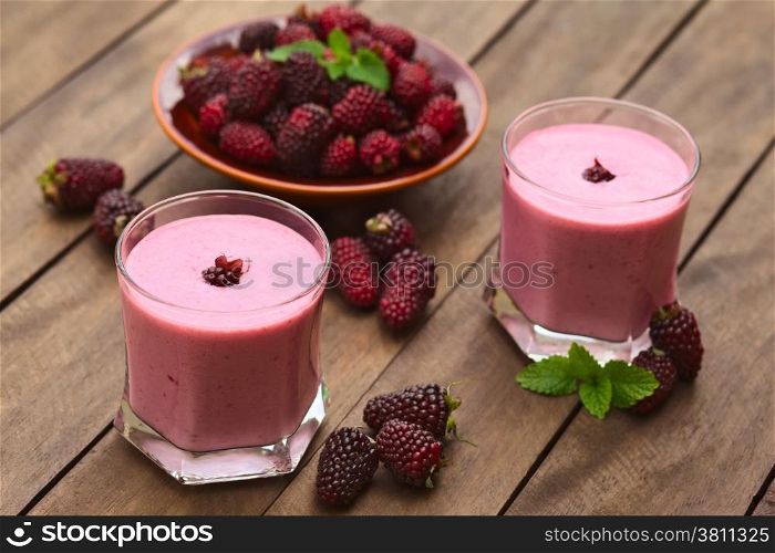 Freshly prepared blackberry milkshake in two glasses (Selective Focus, Focus on the blackberry on the first milkshake)
