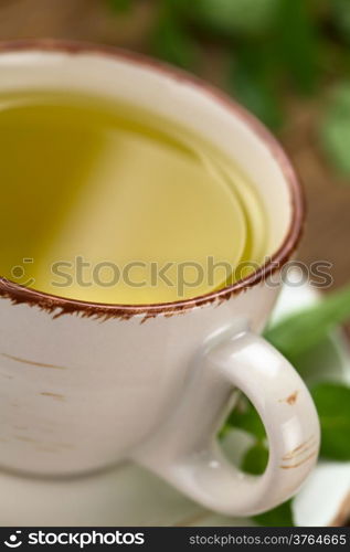 Freshly prepared mint tea out of fresh leaves served in a cup with leaves on the side and the back (Selective Focus, Focus on the front rim of the cup)