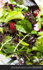 Freshly prepared mixed salad greens for healthy eating.