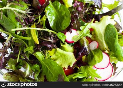 Freshly prepared mixed salad greens for healthy eating.