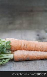 Freshly pulled carrots on grunge worn wooden background