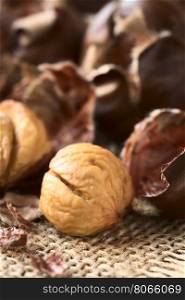 Freshly roasted or baked peeled chestnuts, photographed with natural light (Selective Focus, Focus on the front of the peeled chestnut)