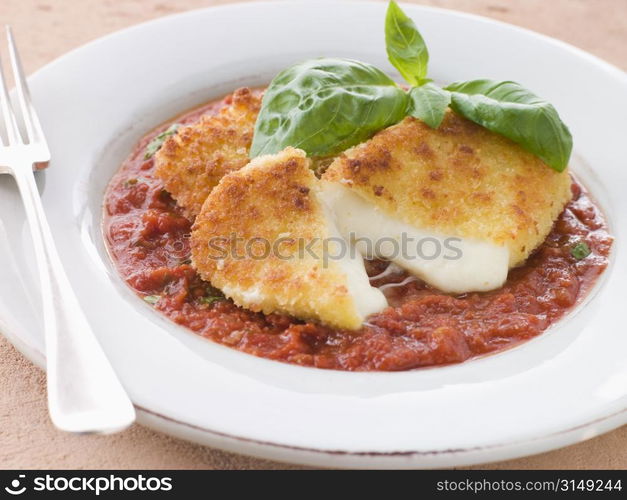 Fried Breaded Mozzarella Cheese with Tomato Ragu