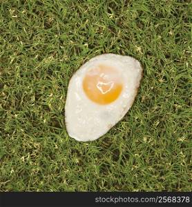 Fried egg in grass.
