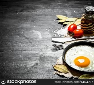 Fried egg with tomatoes and salt. On a black wooden background.. Fried egg with tomatoes and salt. On black wooden background.