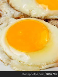 Fried Eggs,Close Up Shot