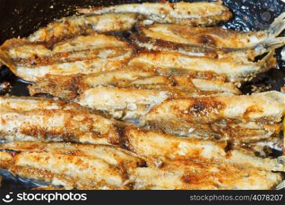 fried fish capelin on frypan close up