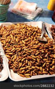 Fried larvas on the thailand night market