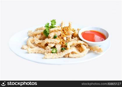 fried squid for healthy food on white background