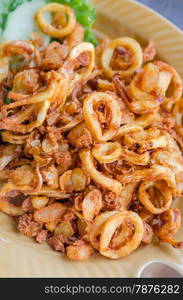 fried squids . fried squids and garlic served with vegetable on dish